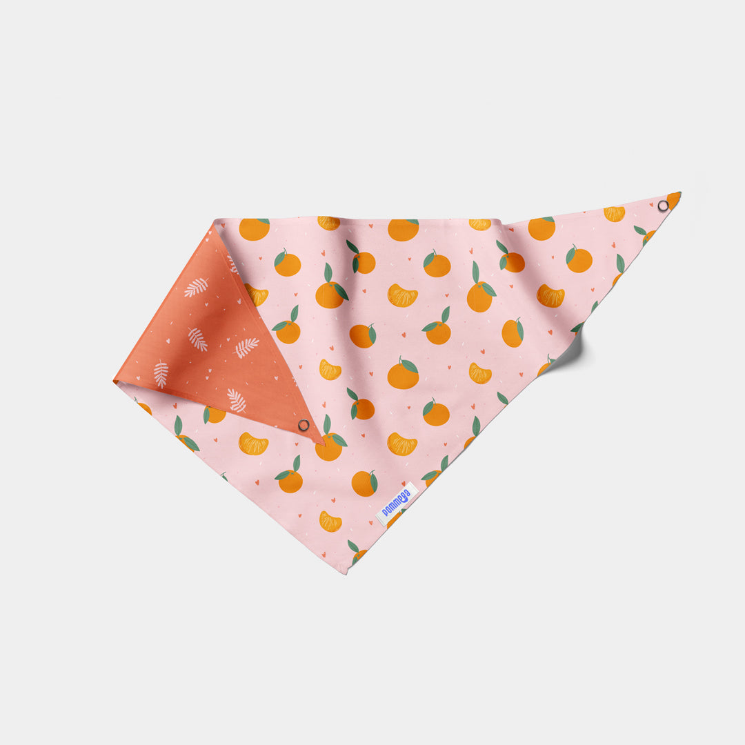 Pañoleta Tangerine