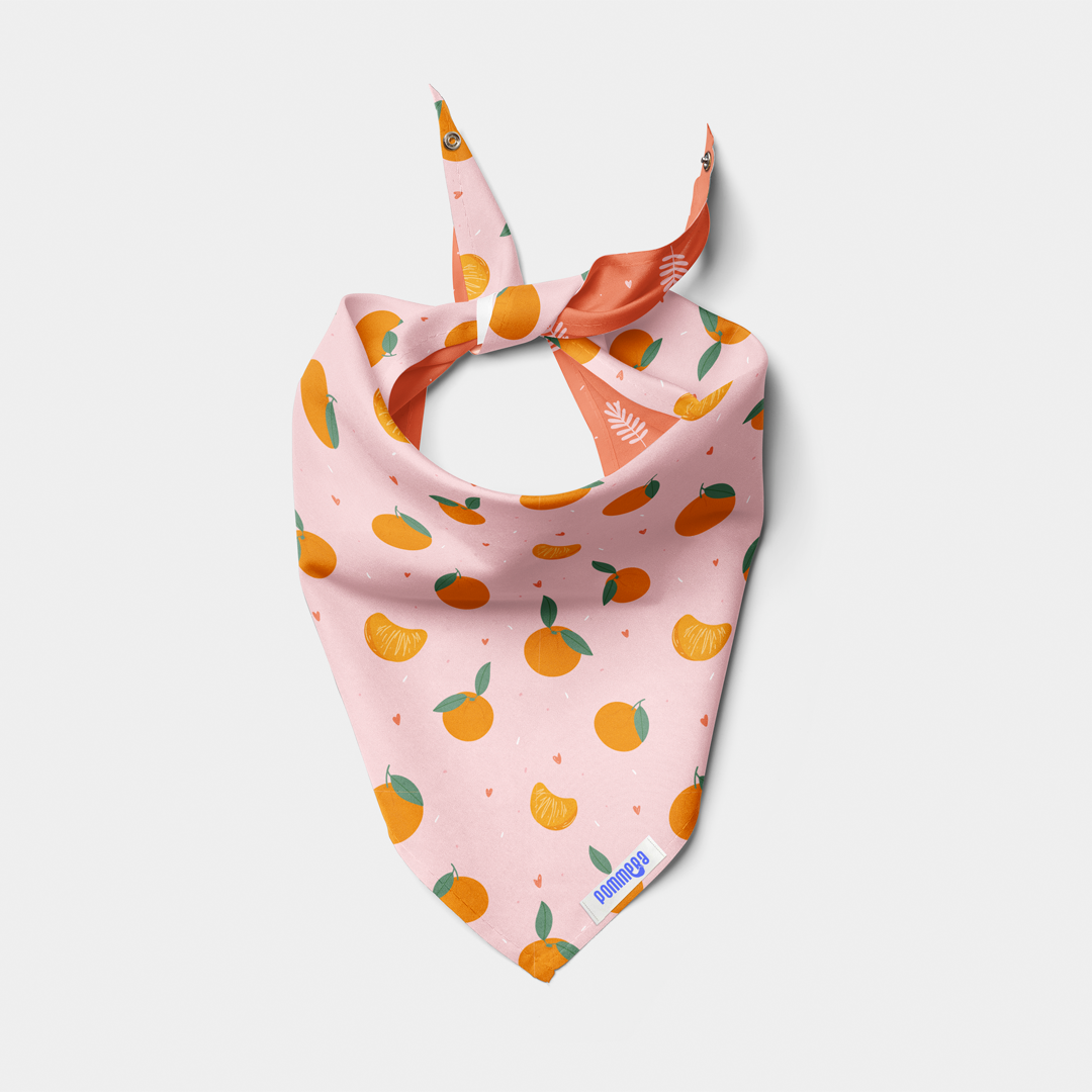 Pañoleta Tangerine