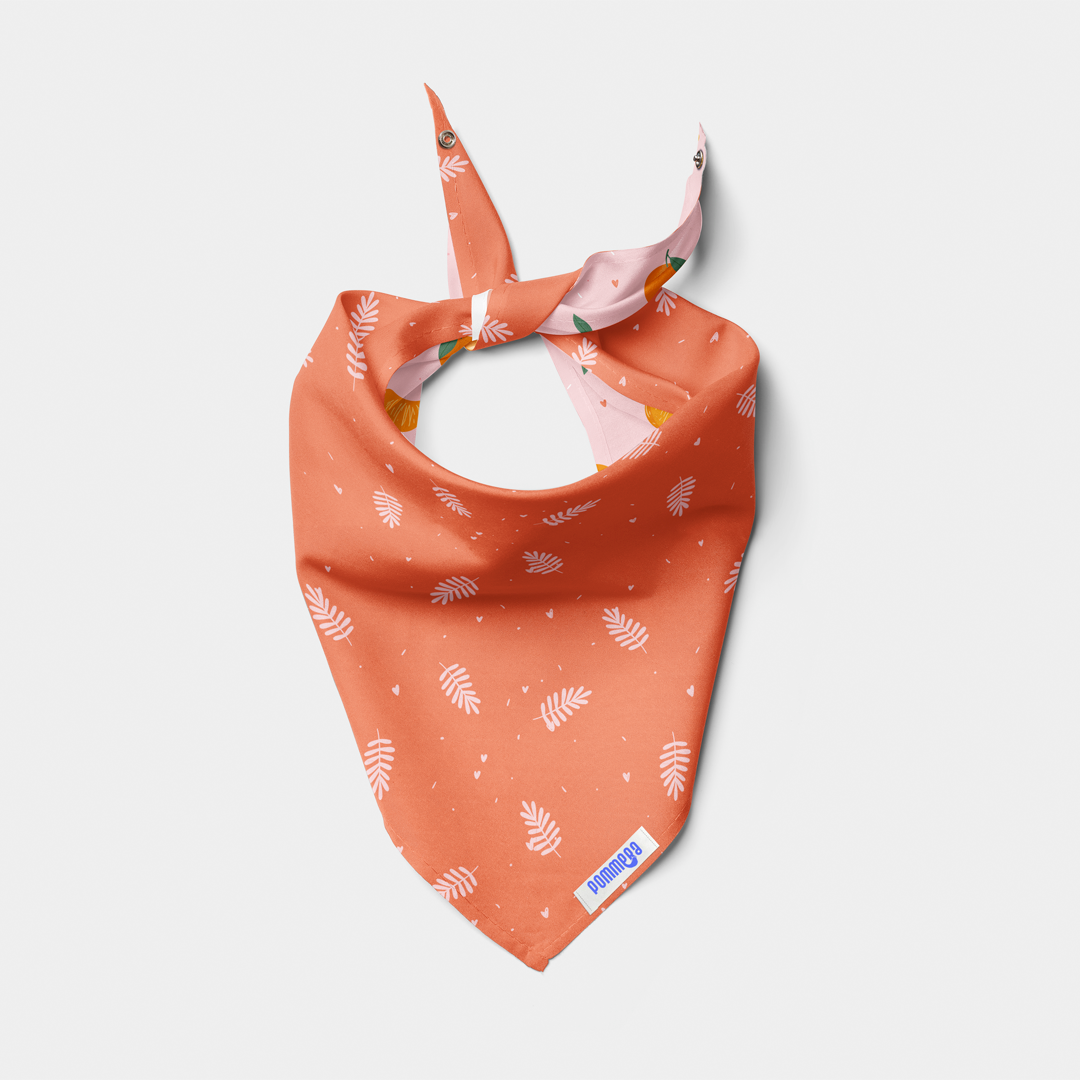 Pañoleta Tangerine
