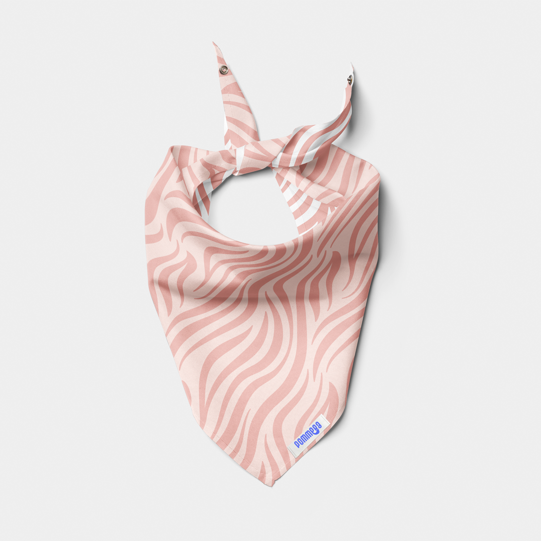 Pañoleta Zebra